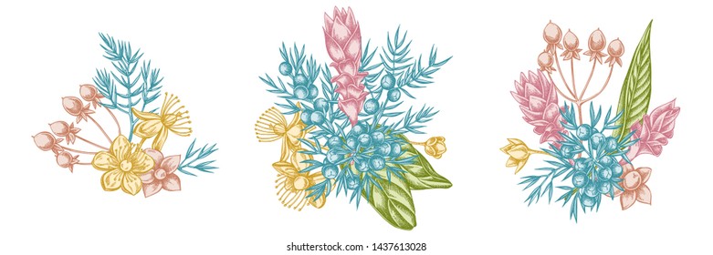 Flower bouquet of pastel juniper, hypericum, turmeric