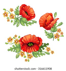 Flower bouquet . Red poppies flowers