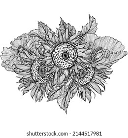 Flower bouquet with sunflowers and poppies. Flower composition for decoration of invitations for a wedding, birthday, holiday. Design for coloring book. Vintage hand draw sketch illustration isolated
