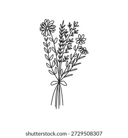 Vector de ramo de flores. Flor dibujada a mano. Ramos del arte de la línea de la flor silvestre, planta silvestre, Ilustración vectorial botánica