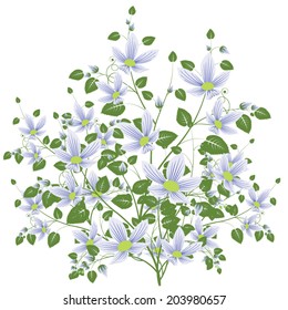 flower bouquet vector on white background