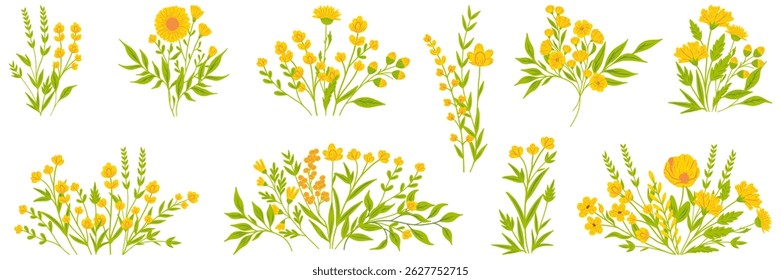 Flower bouquets. Blooming garden and wild plants in beautiful bouquet, blossom bunch and botanical gift vector set.