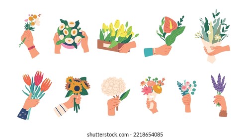 Flores, Chamomile, Gerber y Tulipanes, Girasol, Lavanda en manos y cestas decorativas, Bellas Flores Presentes Aislados en Fondo Blanco. Ilustración del vector de dibujos animados