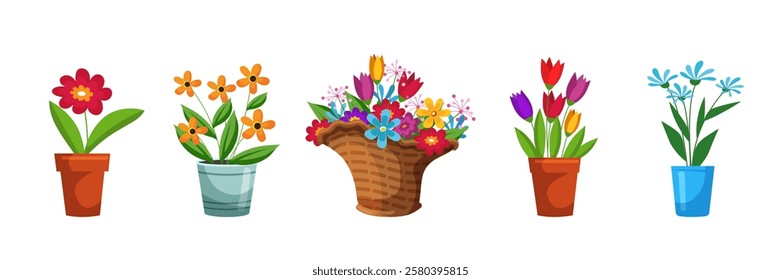 Flower bouquets in wrapping and blooming plant in clay or plastic flowerpots, wicker basket set. Tulip, rose and bud composition. Decorative florist shop items. Flat vector illustration.