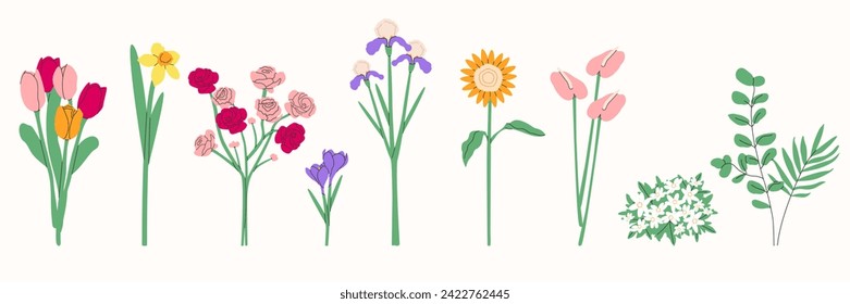 Flower bouquet.Spring and summer flowers, plants for decoration, blooming herbs isolated on white background.Hand drawn set.Vector illustration EPS 10