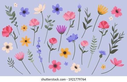 Flower and branch collection. Set of summer flowers, peonies, anemones, daisies and cornflowers. Colorful vintage style florals. Vector illustration.