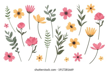 Colección de flores y bifurcaciones. Conjunto de flores de estilo vintage, peonías, anémonas, daisies y flores de maíz aisladas en fondo blanco. Ilustración vectorial.