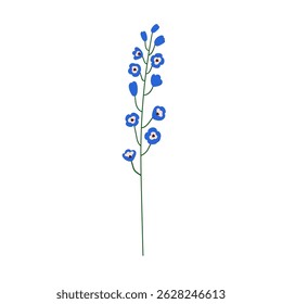 Flower branch, delphinium bloom. Delicate floral plant, thin fragile stem, gentle bud blossoms and petals. Decorative botanical element. Flat vector illustration isolated on white background