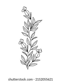 flower branch design over white