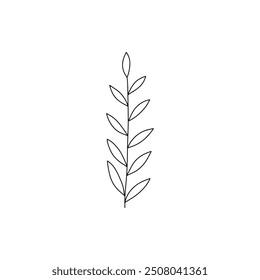 Flower branch doodle. Hand drawn herb line plant with leaves. Summer and spring rural branch. Natural decorative foliage sketch leaf. Floral isolated elements for wedding greeting card vector icon on