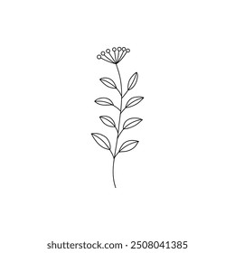 Flower branch doodle. Hand drawn herb line plant with leaves. Summer and spring rural branch. Natural decorative foliage sketch leaf. Floral isolated elements for wedding greeting card vector icon on