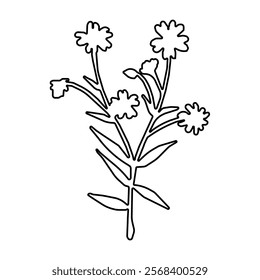 Flower branch hand drawn black floral sketch. Botanical decoration, spring and summer wildflowers, iris, daffodil, protea. Flat vector illustrations isolated on white background