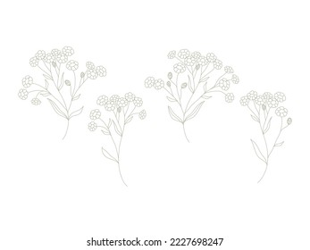 Flower branch. Hand drawn  herbs, plants and elegant leaves. Botanical rustic trendy greenery vector