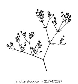 flower branch. an ink sketch. botanical drawing. hand drawn wild plant with small flowers. silhouette brush ink painting. Black isolated vector on white background. Graphic illustration.