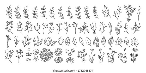 Flower, branch and leaf set, botanical black line. Abstract outline different beautiful floral design elements. Flat floral cartoon eco collection. Beautiful isolated flowers. Vector illustration