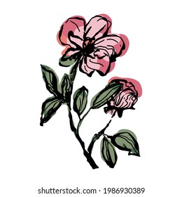 flower branch with leaves and unopened bud isolated vector background