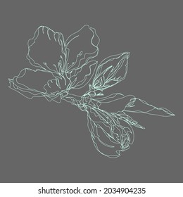 flower branch with leaves and unopened bud isolated vector background