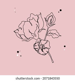 flower branch with leaves and unopened bud isolated vector background