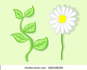 Flower and branch with leaves vector picture
