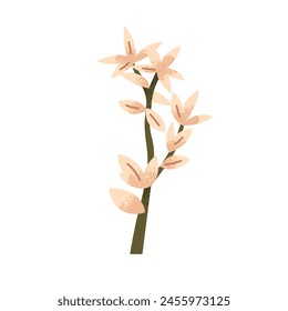 Flower branch. Tuberose, blooming plant. Exotic tropical floral design element, fresh blossoms on stalk, stem. Garden twig. Botanical natural flat vector illustration isolated on white background