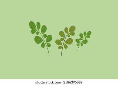 Flower With Branch Vector Image