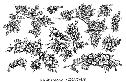 Flower branches hand drawn sketch. Elegant floral pattern for frame design. Twigs, foliage and flowering plants. Vintage vector illustration