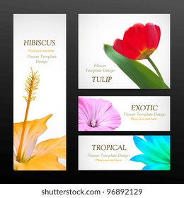 Flower brochure design backgrounds, vector templates of banners or business cards. Spring plant tulip and hibiscus