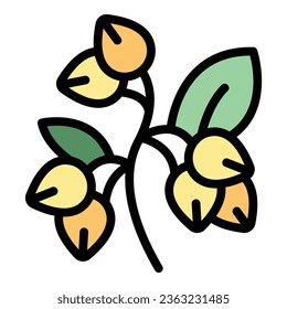 Flower buckwheat icon outline vector. Cereal plant. Nature organic color flat