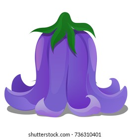 The flower bud of a bellflower isolated on a white background. Vector cartoon close-up illustration.