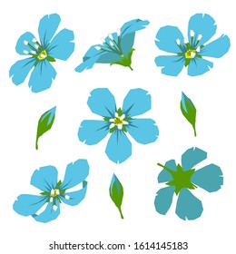 Flower and bud blue flax flat isolated vector colorful illustration