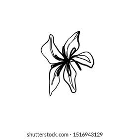 flower bud drawn by one continuous line