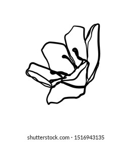 flower bud drawn by one continuous line