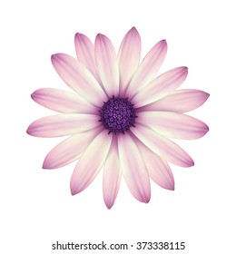 Flower bud isolated on white. Vector resizable illustration.