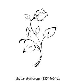 flower Bud on stem with leaves in black lines on white background
