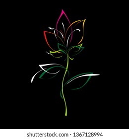 flower bud on a stem with leaves in color lines on a black background