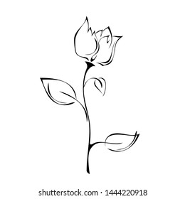 flower Bud on stem with leaves in black lines on white background
