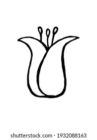 flower bud on white background, can be used for cards and invitations