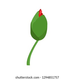 Flower bud. Plants. Vector illustration. EPS 10.