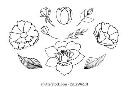 Flower and bud and seed, decorative, outline, mockup vector. Floral pattern hand drawing. Simple, botanical outline. For tattoo, for card, invitation,coloring, antistress, your best design.