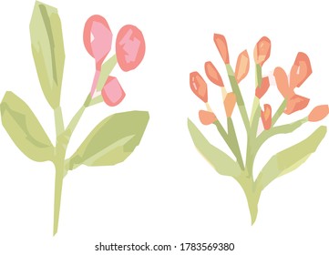 Flower and Bud Vector Illustration