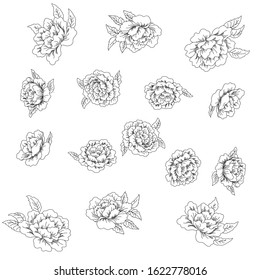 flower buds scattered by illustration, pattern