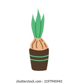 A flower bulb in a pot. Spring collection. Flat vector illustration