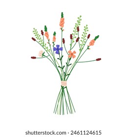 Flower bunch. Delicate floral bouquet. Field and meadow blossoms, herbs, fragile blooms, tiny stems tied with string. Summer wildflower mix. Flat vector illustration isolated on white background