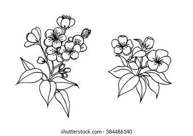 flower bunch floral outline vector art
