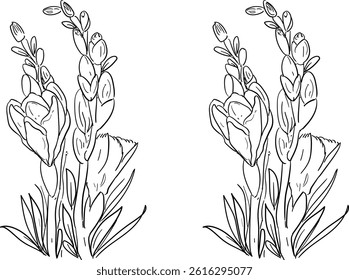 flower bunch vector line art 