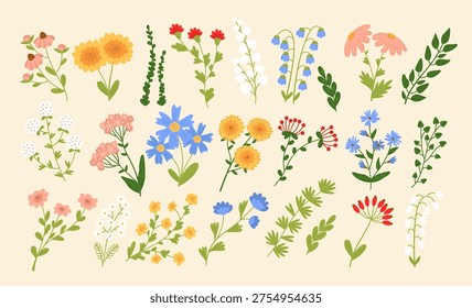 Flower bundle with meadow bloom, herb stem, and leaf branch in hand drawn look. Botanical set for nature theme and garden concept. Vector illustration