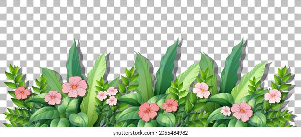 Flower bush with leaves on transparent background illustration