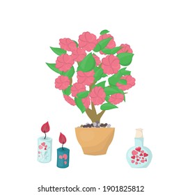 Flower bush in a pot. Vector illustration in a flat style.