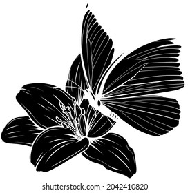 flower and butterflie silhouette. Vector illustration design