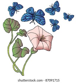 flower and butterflies
